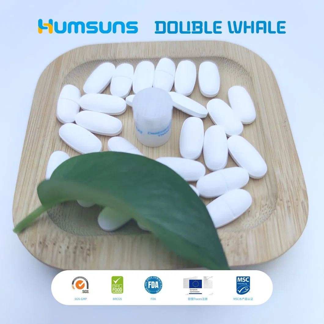 Enteric Coated Magnesium Tablets for Stable Absorption and Gastrointestinal Protection