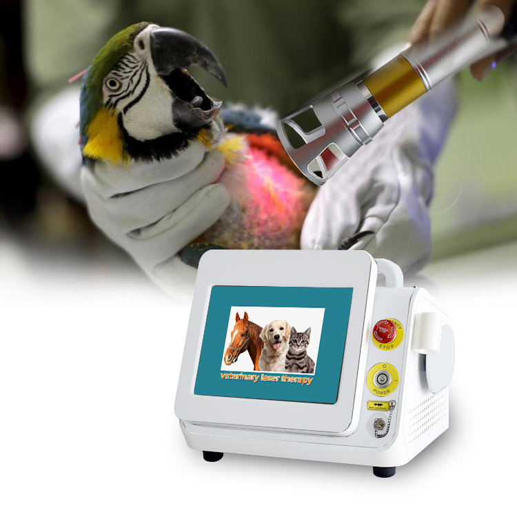 980nm Diode Laser Physiotherapy Pain Relief Physical Therapy /Veterinary Use Vet Therapeutic