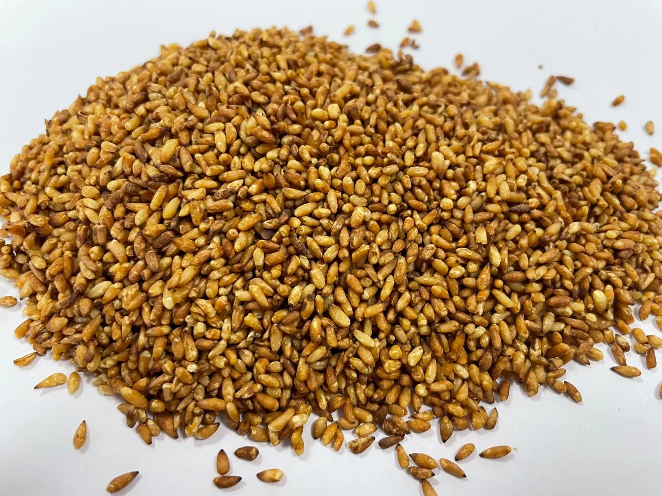 Chao Bai Zi Ren Platycladi Semen Chinese Traditional Herb Natural Dried Herbal Medicine