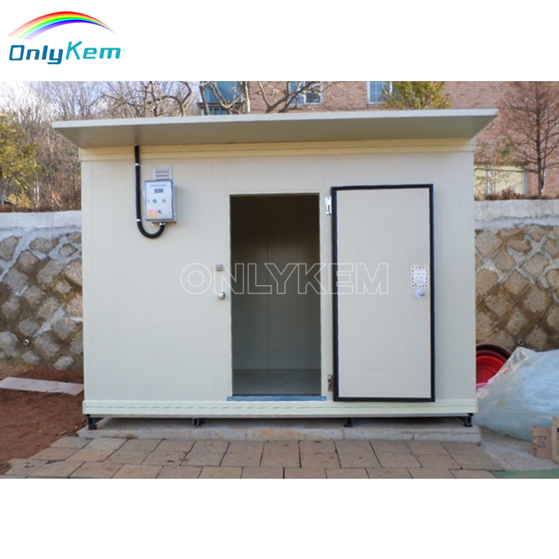 8X8FT Small Cold Room Storage Mobile Freezer Room