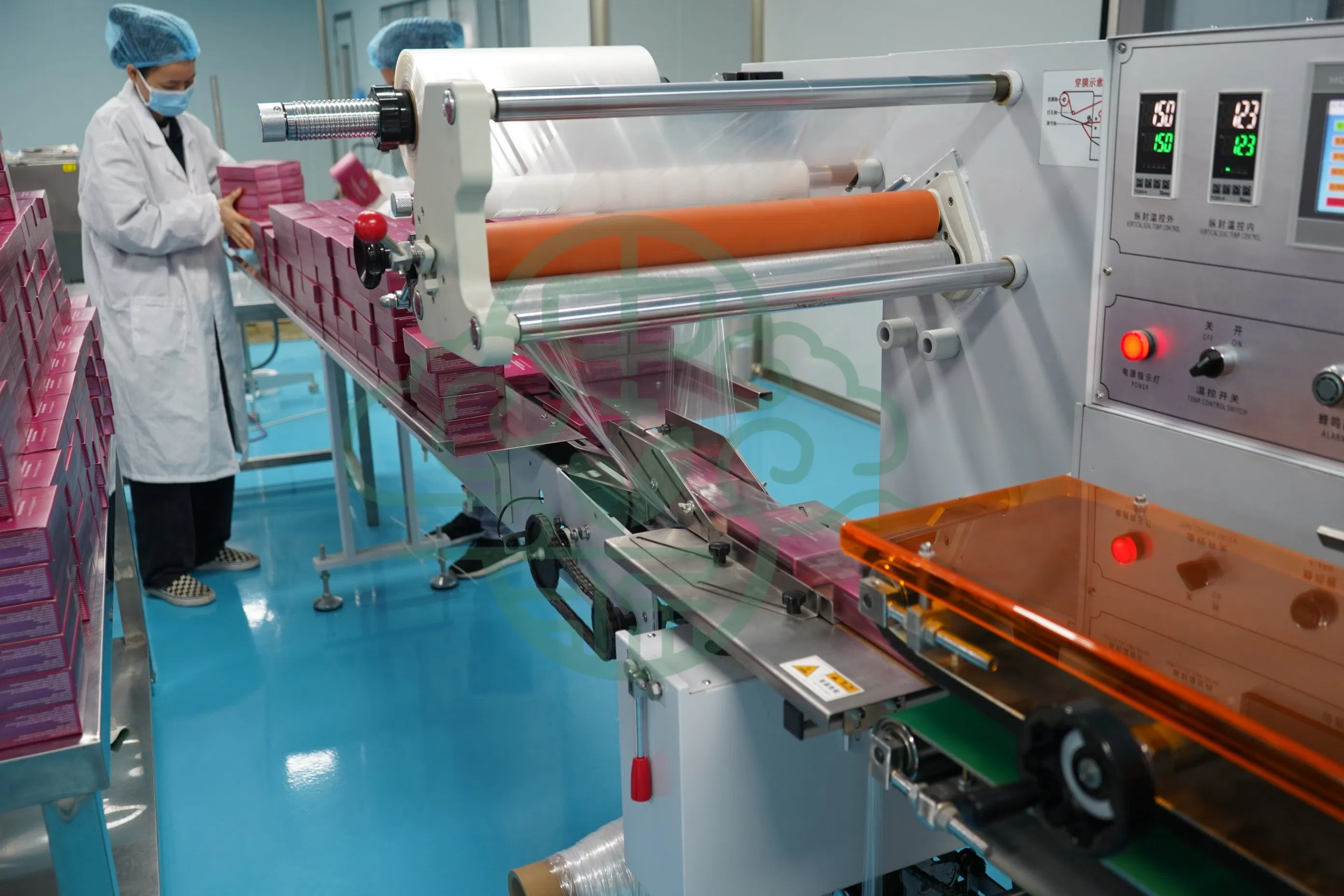 Lion's Mane Capsules - Mushroom Brain Booster for Cognitive Health Dietary Supplement