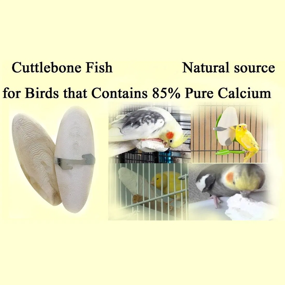 12 PCS Cuttlefish Bone for Bird, Bulk Animals Dried Feed Food, Parrot Natural White Cuttlefish Bone