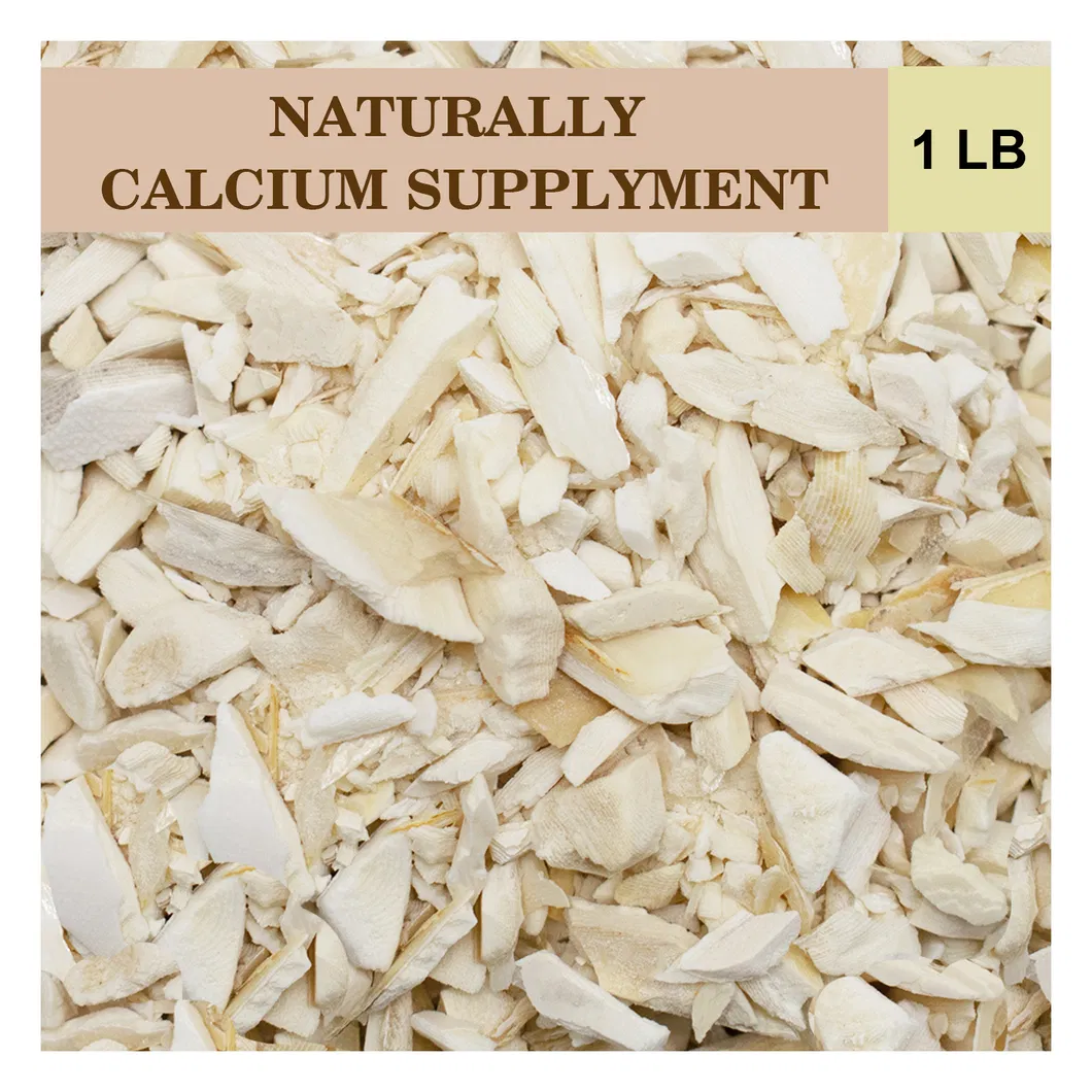 Cuttlefish Bone Chips 5