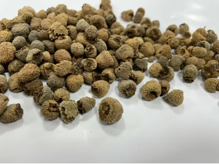 Chinese Herbal Fupenzi Liver Kidney Medicine