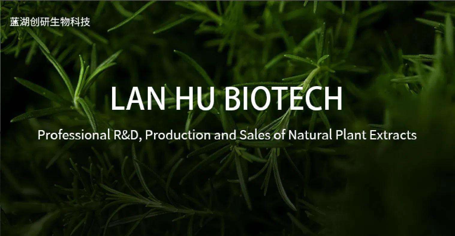 Premium Organic Mullein Drops