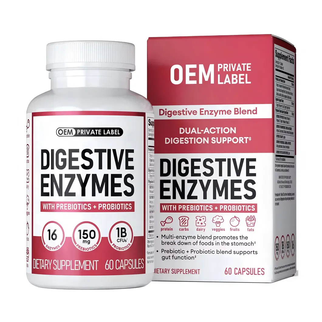 Probiotic Digestive Enzyme Capsule
