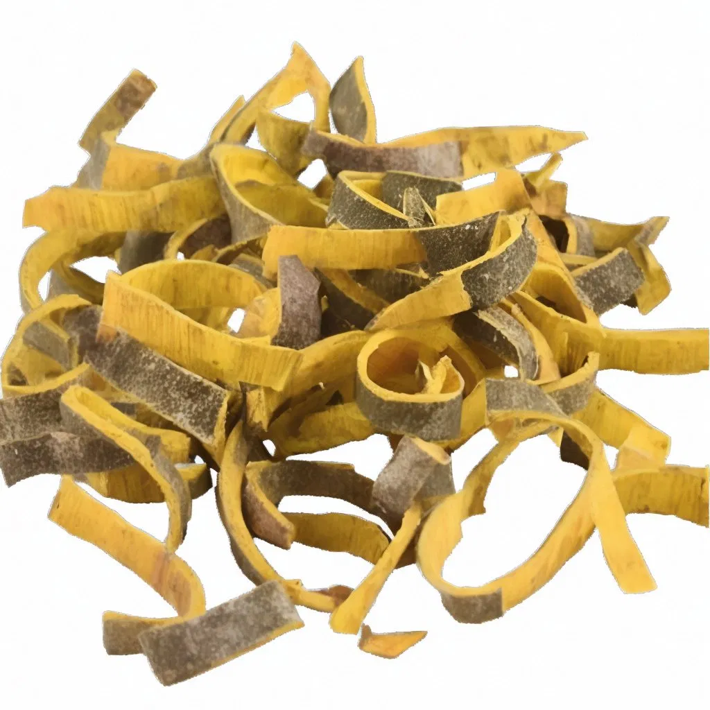 Huang Bai Cortex Phellodendri Chinese Herb Wholesale Bulk Chinese Herbal Medicine