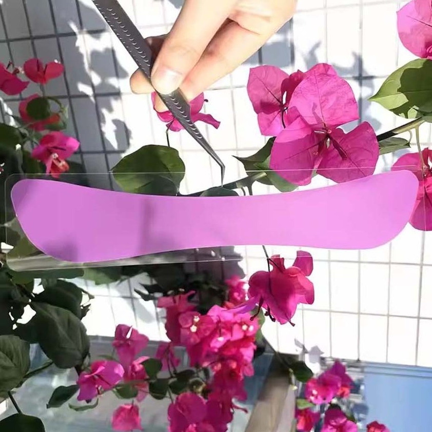 High Quality Silicone Eye Sticker Accessories Wholesale Beauty Tool Eyelash Extension Eye Pad for Lash Patches Eyelash Lift Pads Skin Care Product