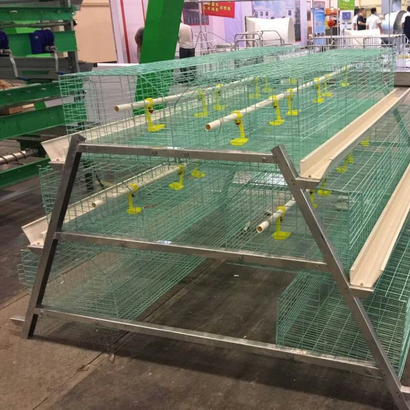 Galvanized Layer Chicken Cages Products Plans for 5000 Birds