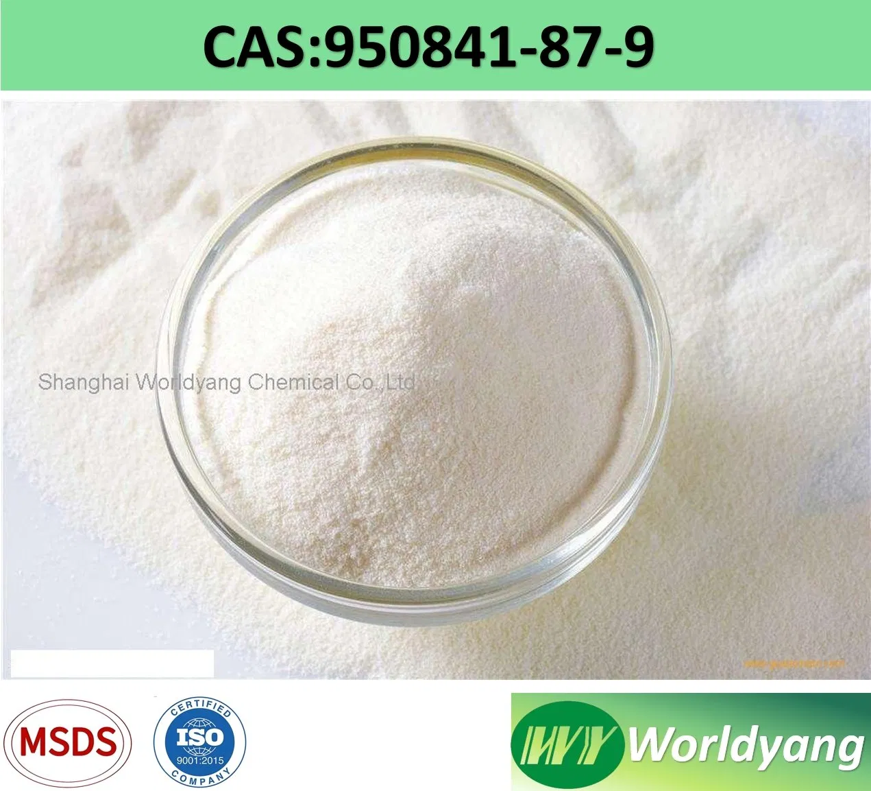 Acetamoren CAS 950841-87-9 for Dietary Supplement