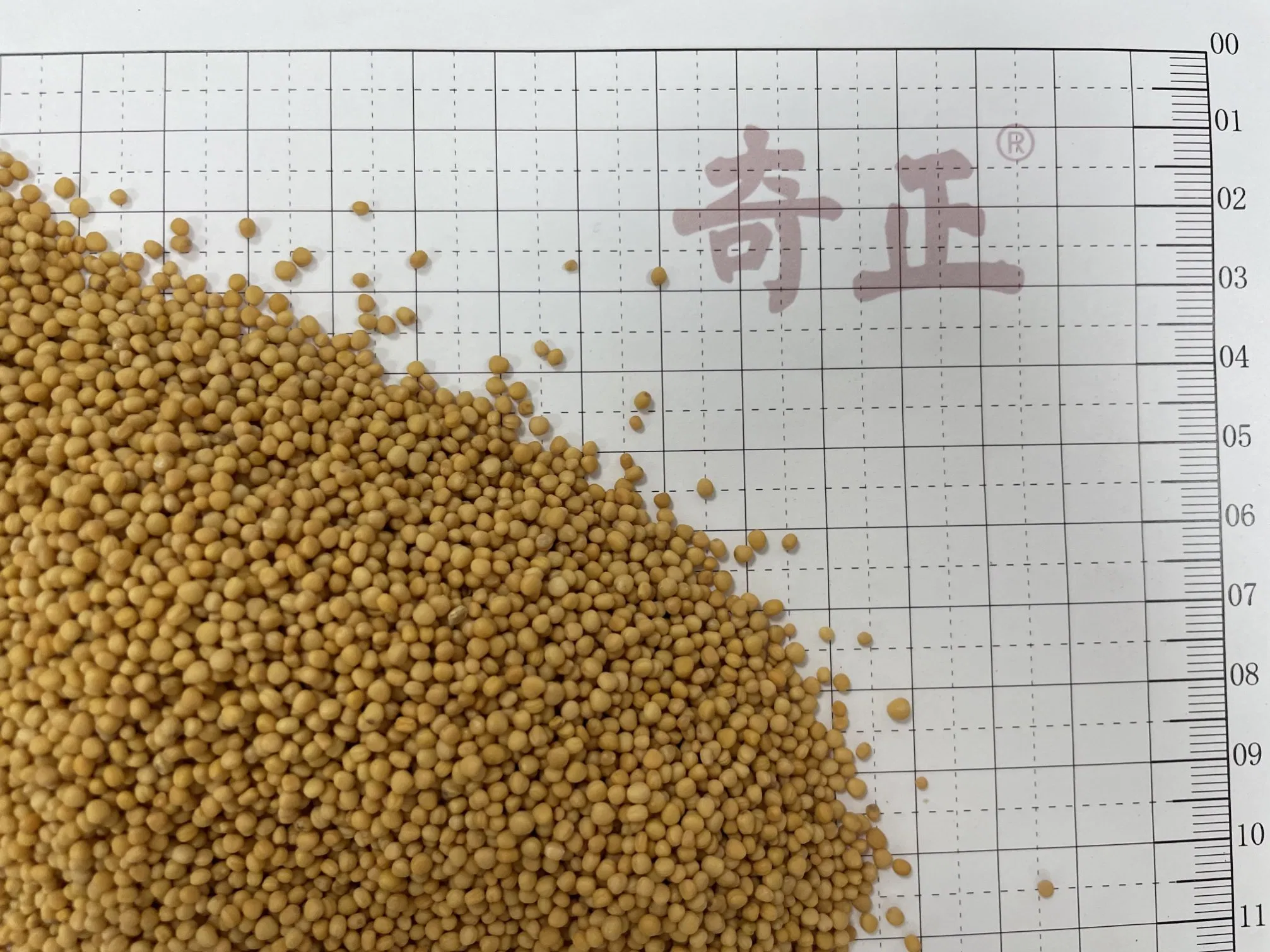 Chest Flank Pain Herbal Medicine Jie Zi Sinapis Semen