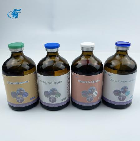 Premium Digestive Health Support for Pets: Vitamin B Complex