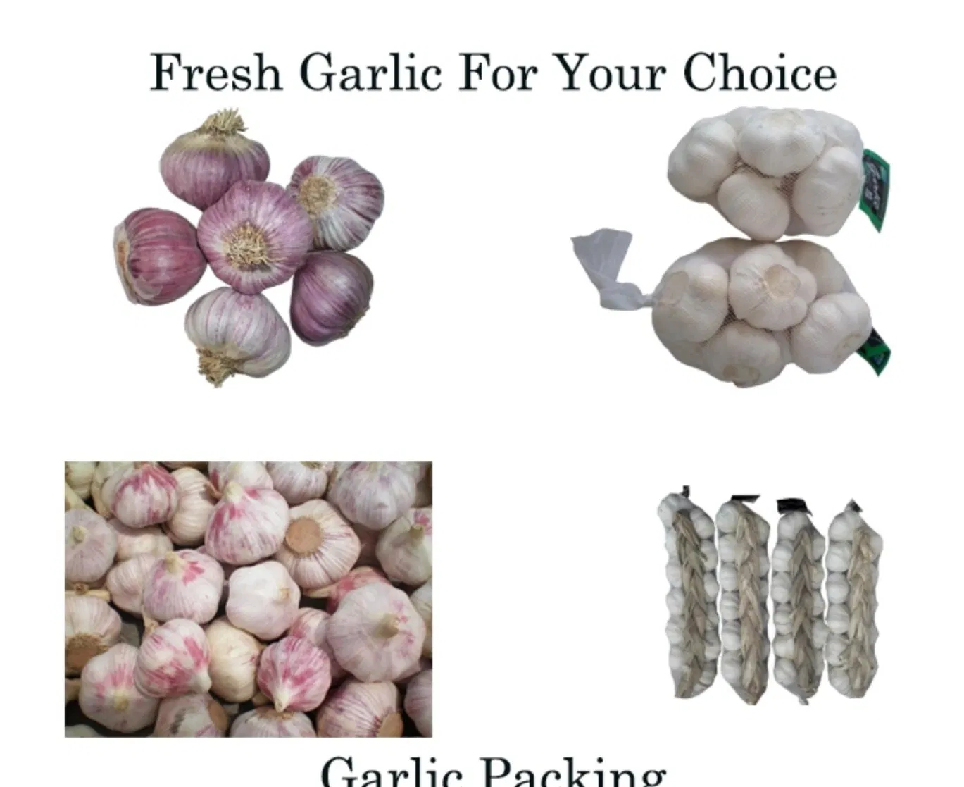 Allicin Garlic Powder Granules 64439-81-2 Animal Feed Additives