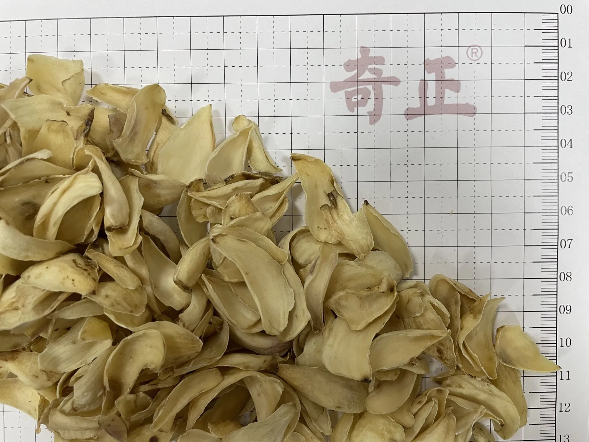 Chinese Herbal Medicine Bai He Bulbus