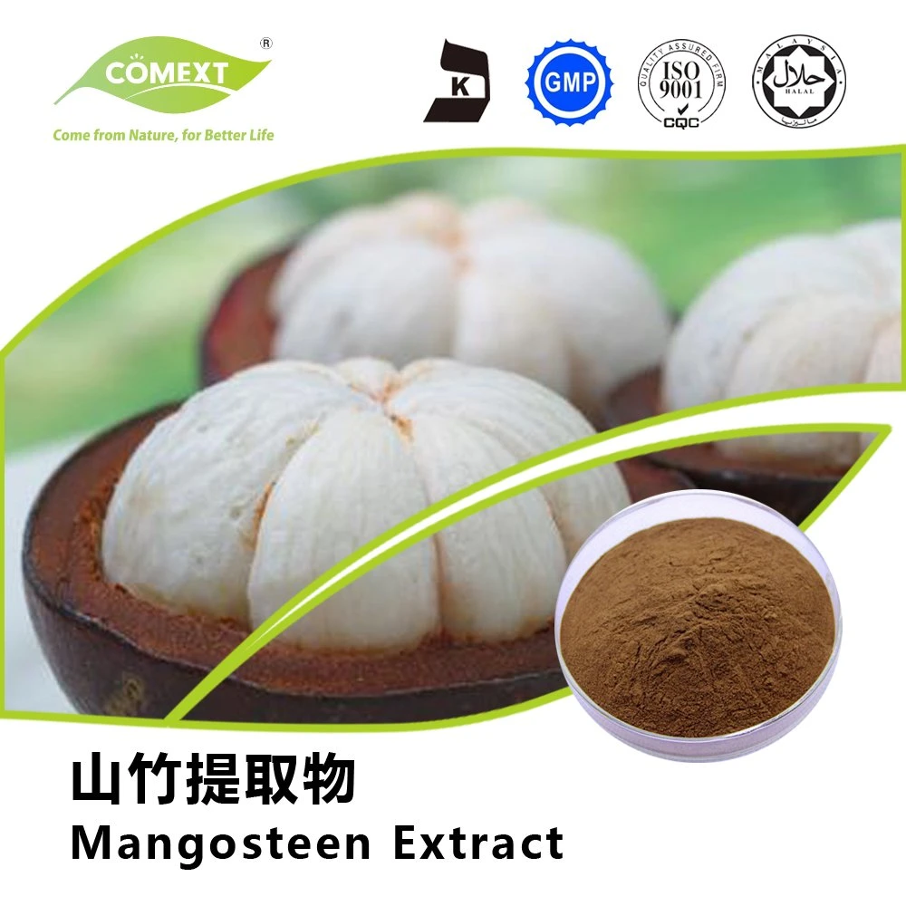 Comext Beat Quality 10%~40% Mangostin Mangosteen Extract CAS 6147-11-1