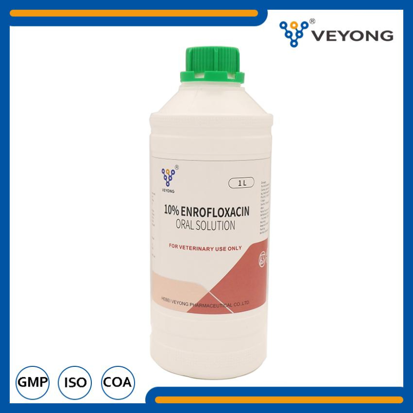 Medicine for Veterinary Manufacturer Enrofloxacin 10% Oral Solution for Animal Health Care