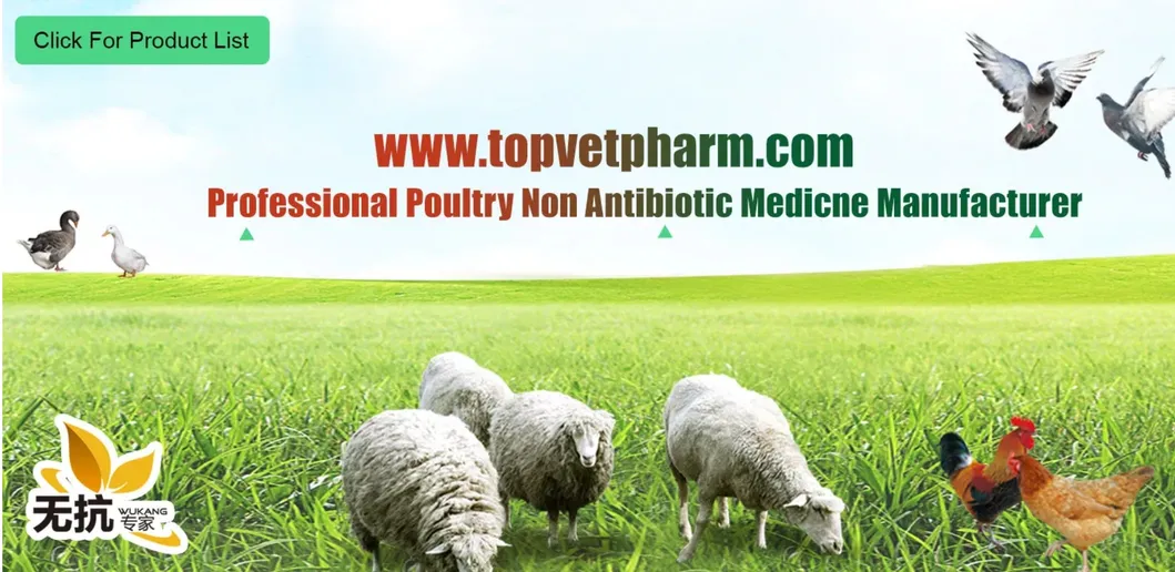 Amoxycillin 20% Product Photo 1