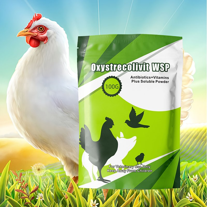 0xystrecolivit Wsp Antibiotics+Vitamins Plus Soluble Powder for Poultry and Pigs