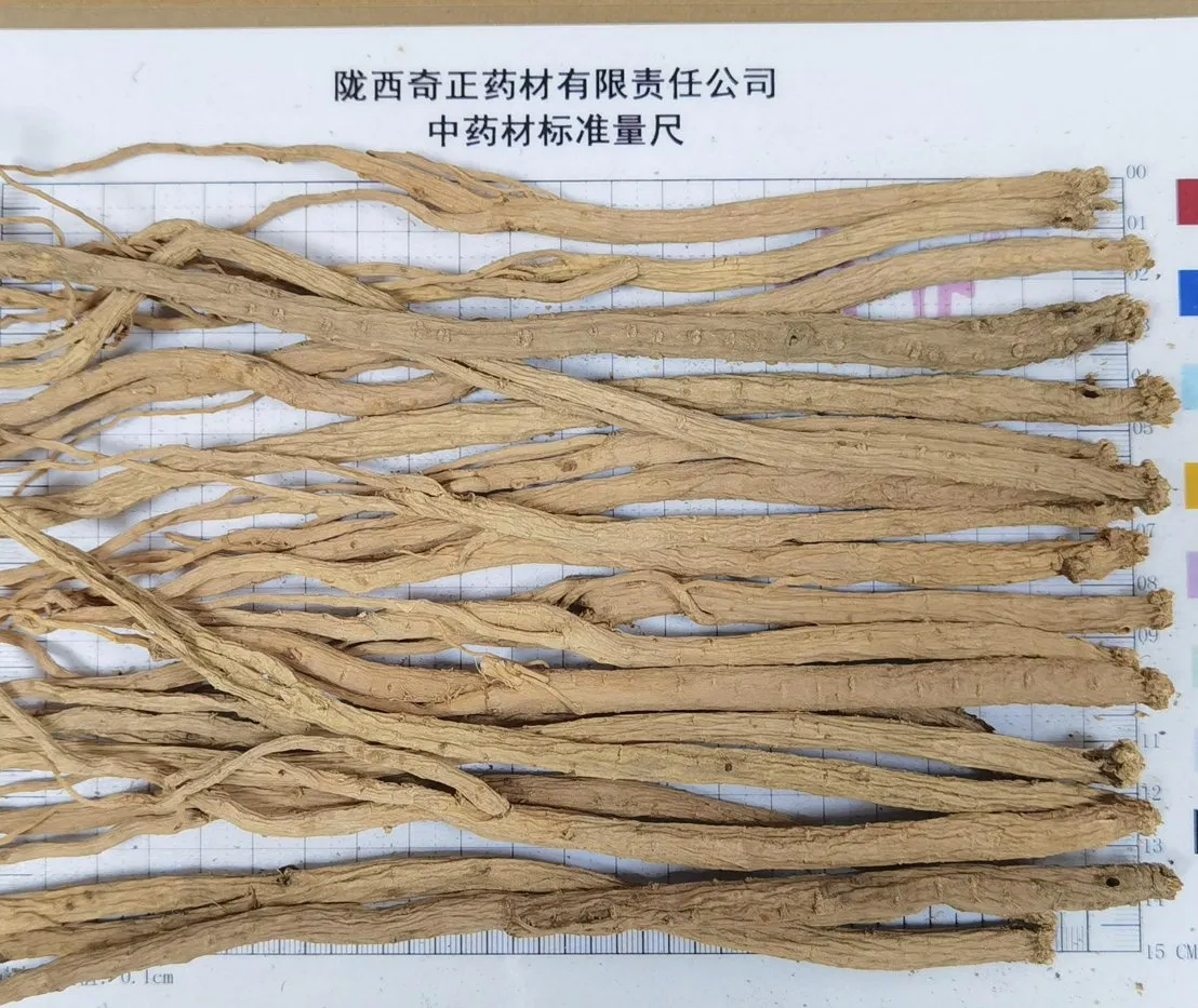 Chinese Pharmacopoeia Approved Herbal Medicine Codonopsis Radix Dang Shen Chinese Herbal Medicine