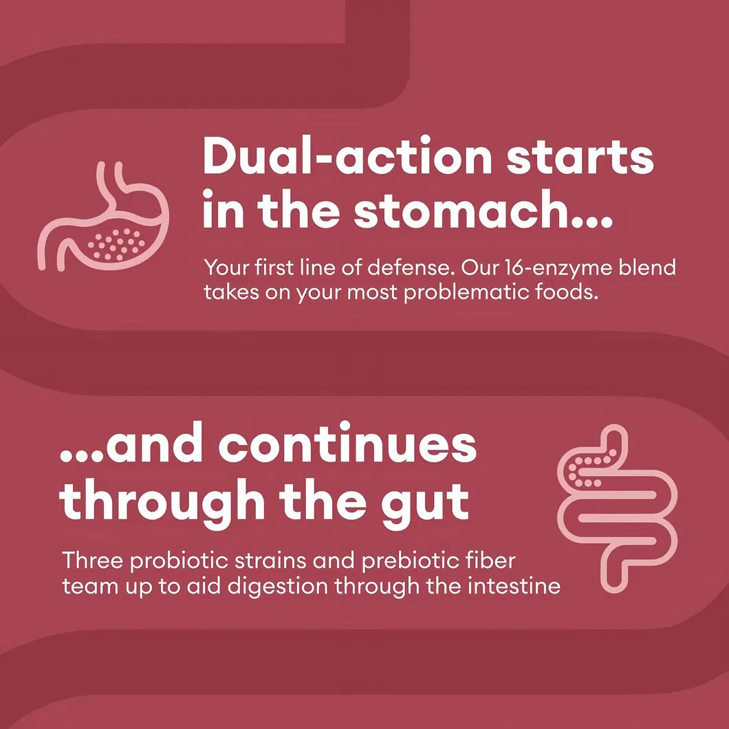 Digestive Enzyme Supplement