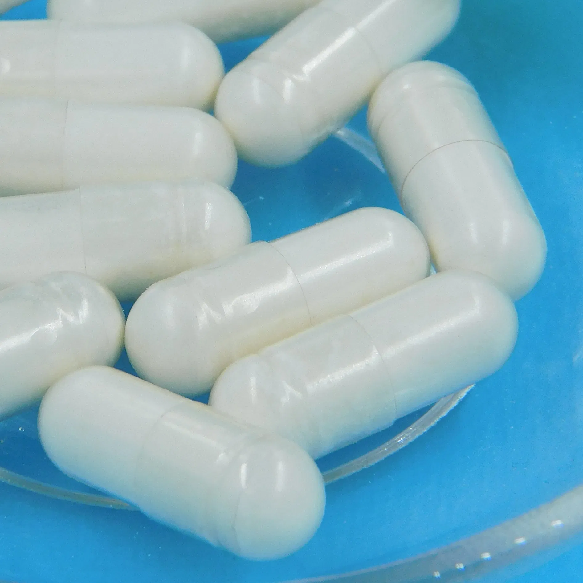 Natural Digestive Wellness Supplement for Enhanced Gut Health