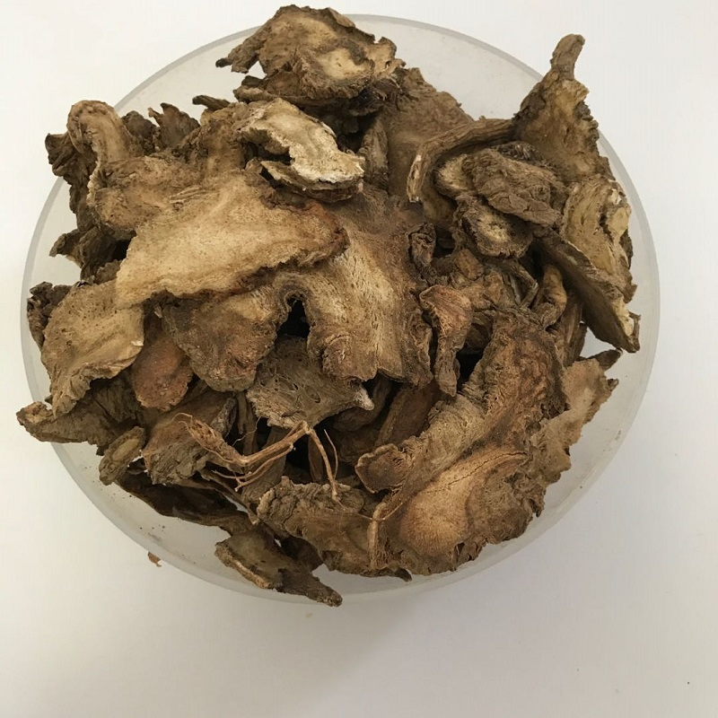 Du Huo Crude Herbal Medicine Radix Angelicae Pubescentis