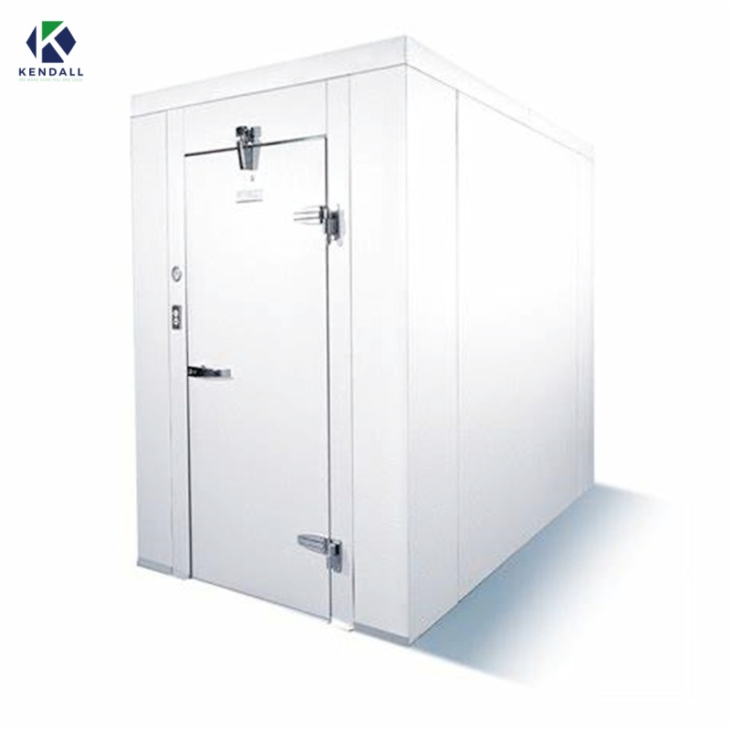 Freezer Cold Room Chambre Froide Industrial Blast Freezer Walkin Cooler Cold Storage Room Price Fresh-Keeping Freezer Fruit