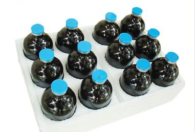 Premium Digestive Health Support for Pets: Vitamin B Complex