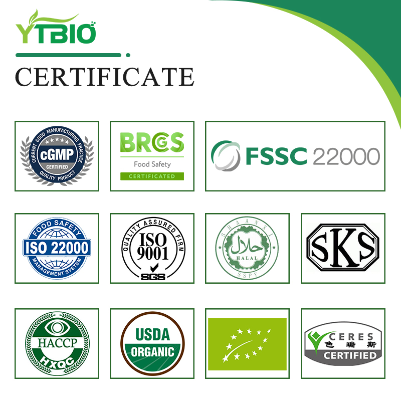 Fat-Burning Weight Loss Tablet Private Label Weight Management Supplements Sugar-Free