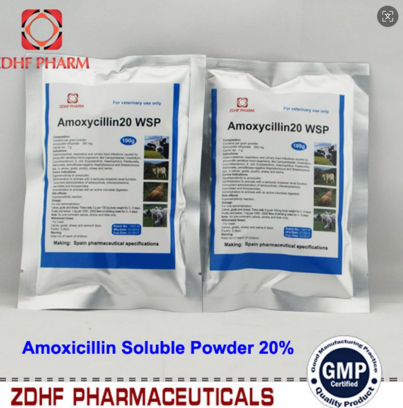 Amoxycillin 20% for Animal Gastrointestinal &amp; Respiratory Care