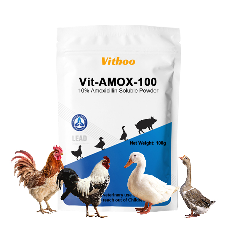 20% Doxycycline Hydrochloride Poultry and Swine Gastrointestinal Respiratory