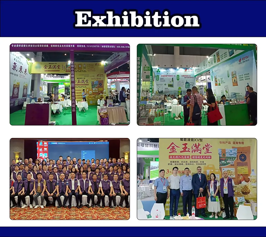 Florfenicol Soluble Powder 6