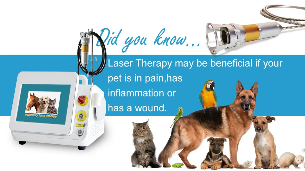 Veterinary Laser