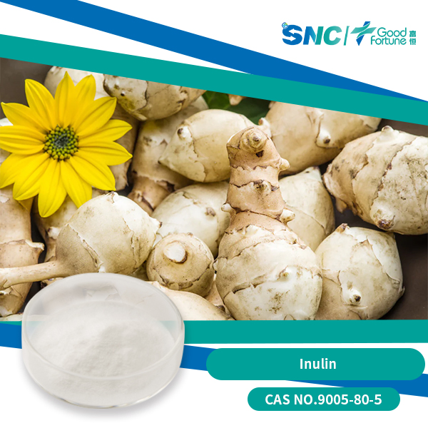 Natural Inulin Fiber Supplement for Gut Health and Weight Management