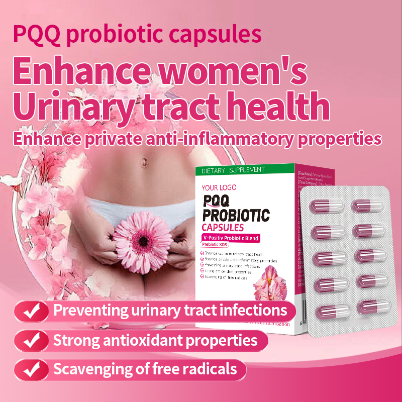 OEM Customized PQQ Probiotic Capsule Enzyme Product Urinary and Vaginal Probiotic Manufacturer
