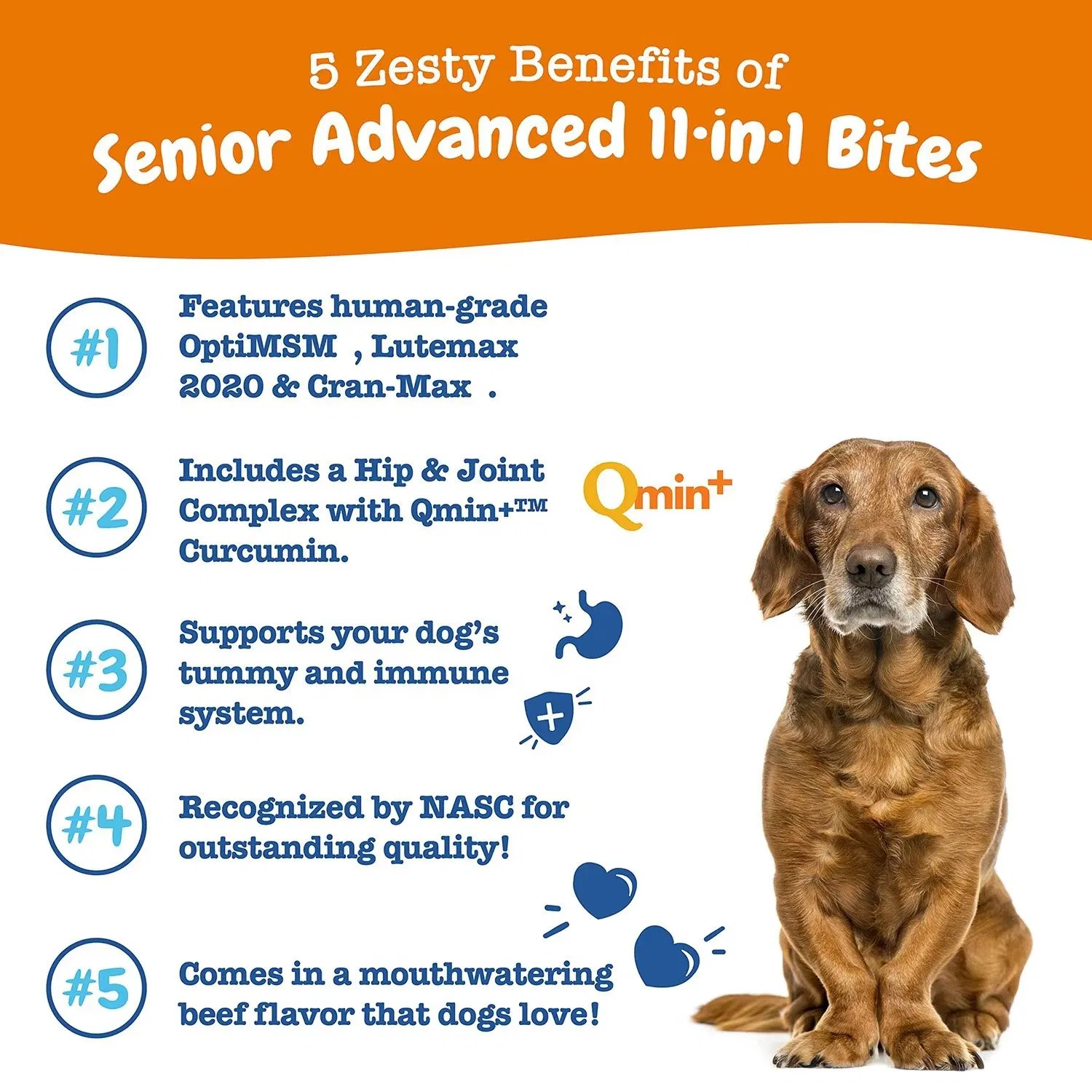 Dog Multivitamin Soft Chews for Skin Coat Health Allergy Immune Support