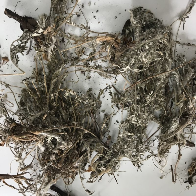 L115 Wei Ling Cai Herbal Products Chinese Traditional Medicine Dried Potentilla Chinensis