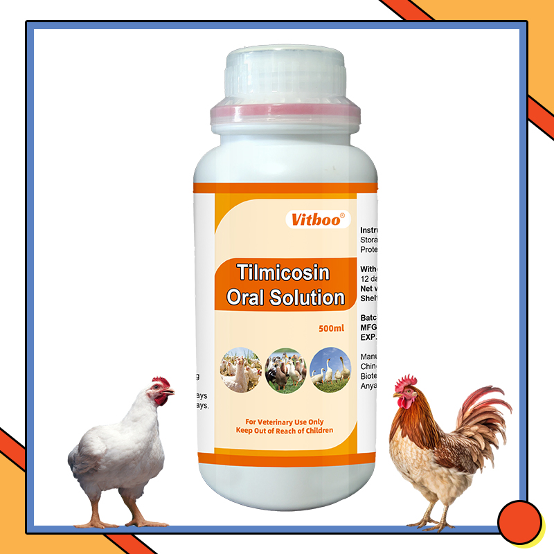 Anti-Flu Powder for Chicken Influenza Virus Poultry OEM Medicine Manufacture