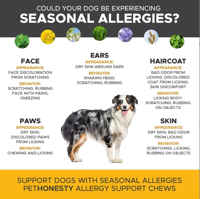 Dog Allergy Support 2