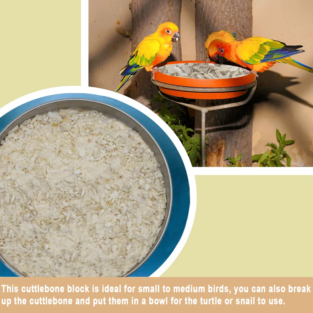 Cuttlefish Bone Chips 3