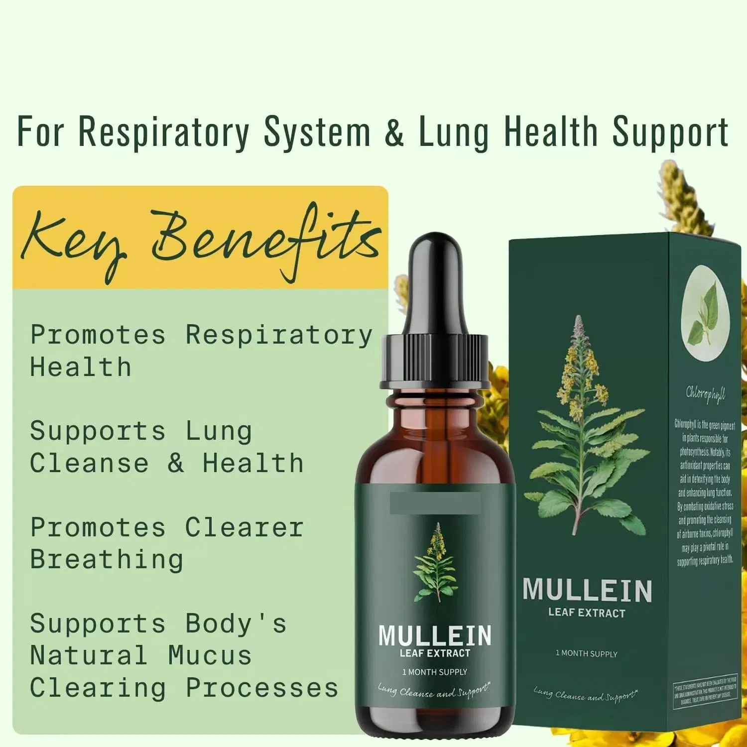 Premium Organic Mullein Drops for Lungs Natural Lung Cleanse Detox Immune Support Respiratory &amp; Digestive Health Supplement