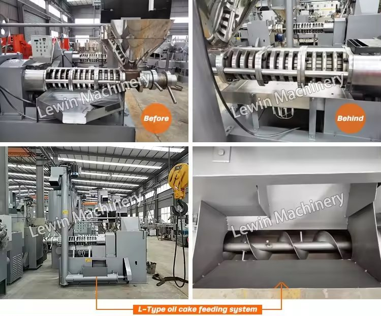 Screw Automatic Oil Extraction Cold Soybean Peanut Sunflower Mustard Oil Press Machine