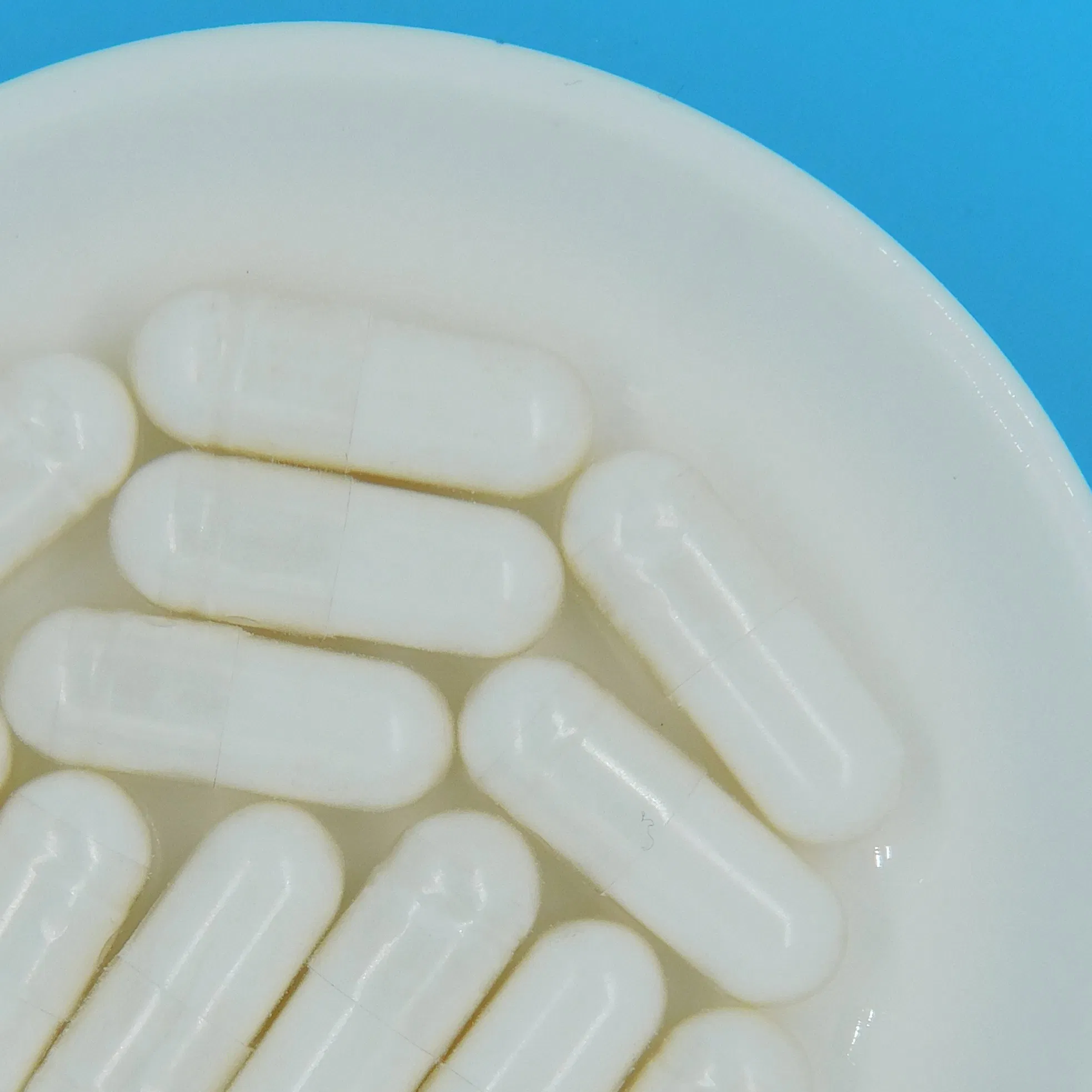 Natural Digestive Wellness Supplement for Enhanced Gut Health