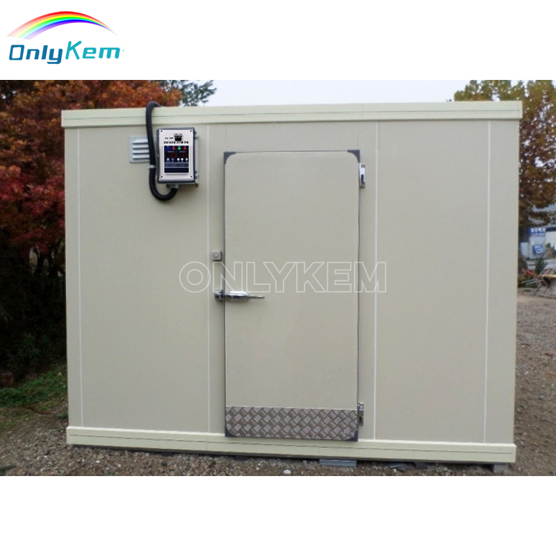 8X8FT Small Cold Room Storage Mobile Freezer Room