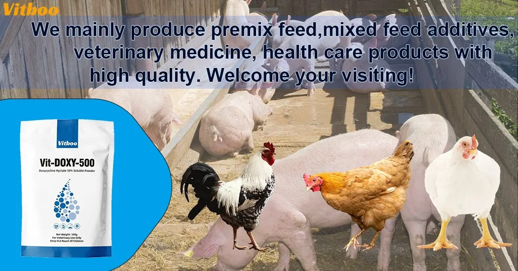 Doxycycline Powder Product Overview