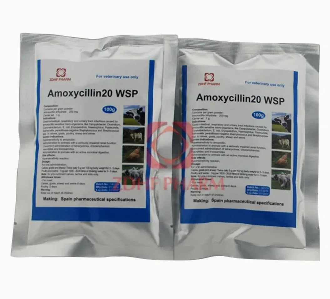 Amoxycillin 20% for Animal Gastrointestinal &amp; Respiratory Care