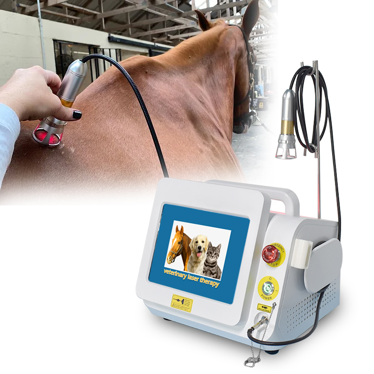 Portable Deep Tissue Lasert Therapy 980nm Therapy Veterinary Laser for Pain Relief Pets Animals Machine
