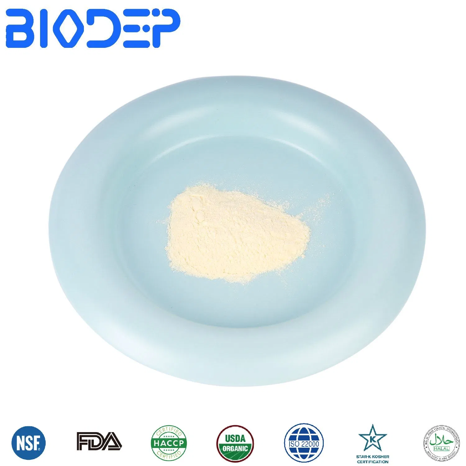 Promote Digestion Probiotics Powder Supplements Bifidobacterium Bifidum for Digestive Health