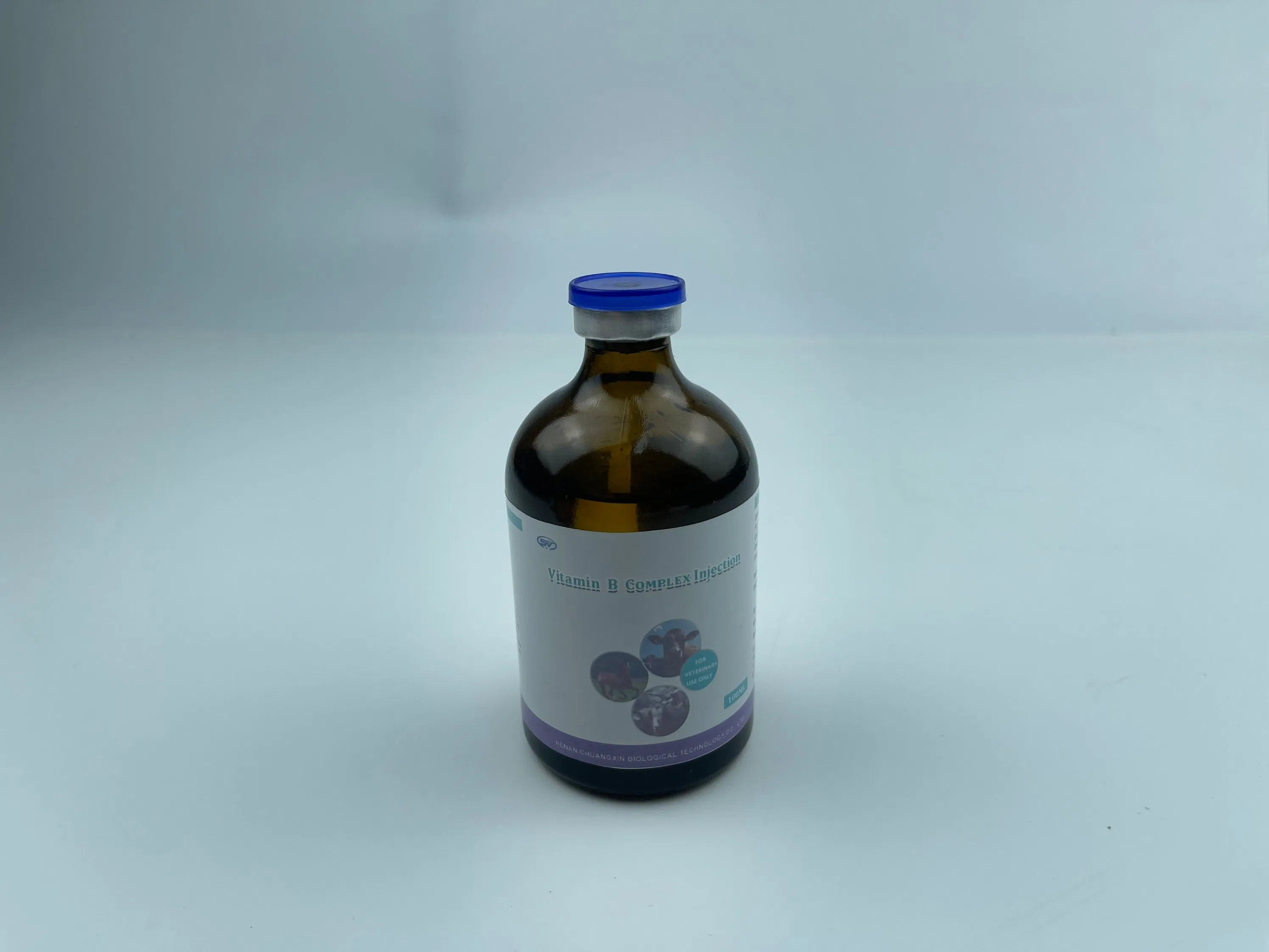 Premium Digestive Health Support for Pets: Vitamin B Complex