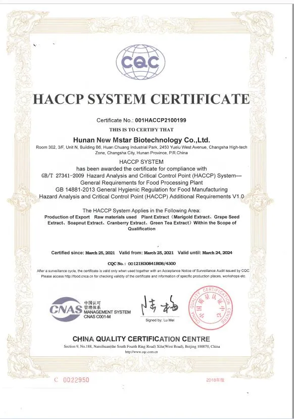 Certificate 1